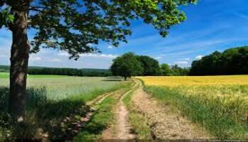  rando a la campagne
