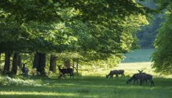  rando a la campagne