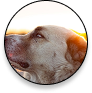 image de profil d'un garçon